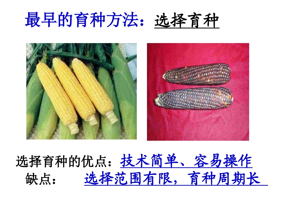 杂交育种与诱变育种定稿_第2页