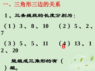 浙江省桐乡三中七年级数学下册《三角形》复习课件1-浙教版