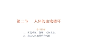 人体的血液循环 (2)