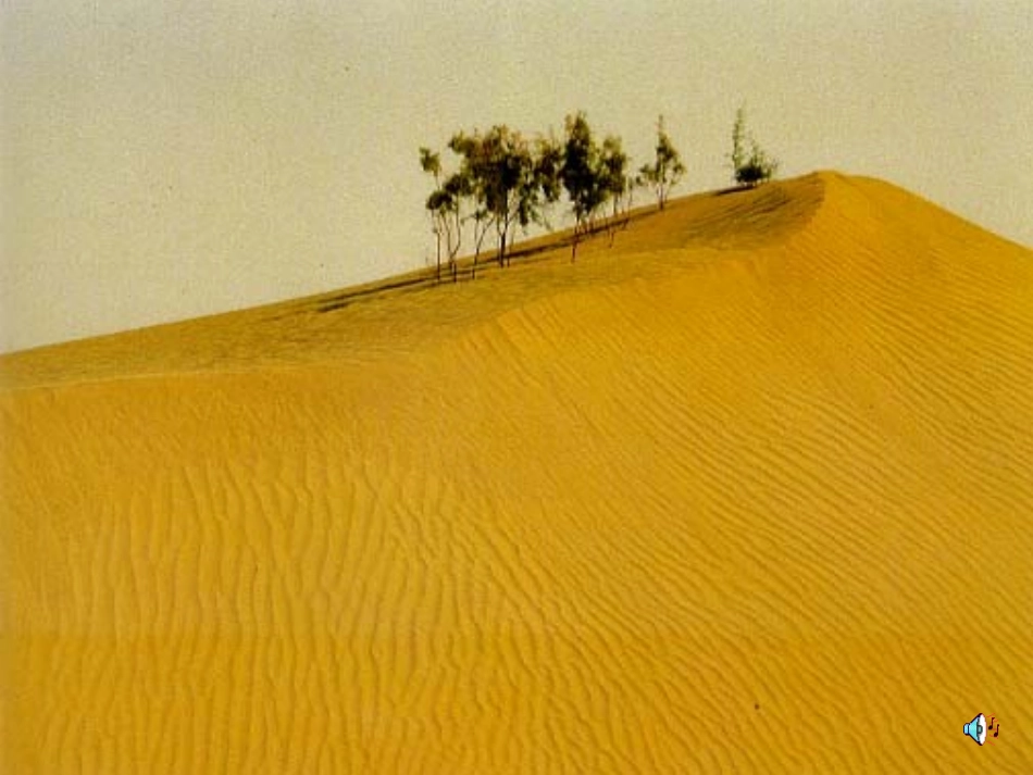 安塞腰鼓 (2)_第1页