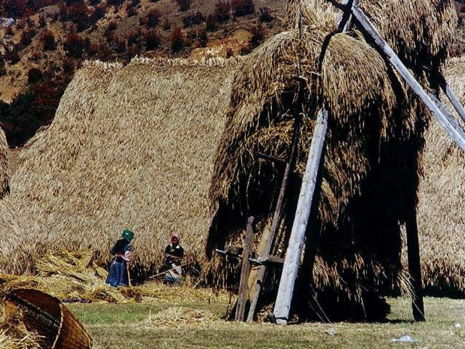 安塞腰鼓 (2)_第2页