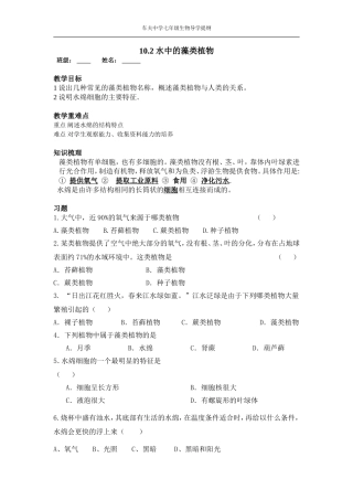 水中的藻类植物