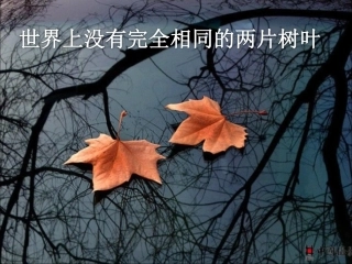 让落叶在细微中新生
