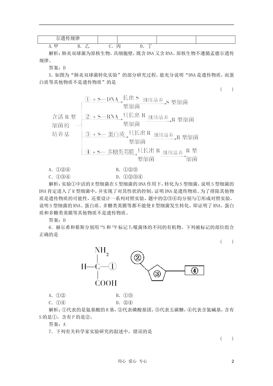 2012届高三生物一轮复习-3.1-DNA是主要的遗传物质章节检测试题-新人教版必修2_第2页