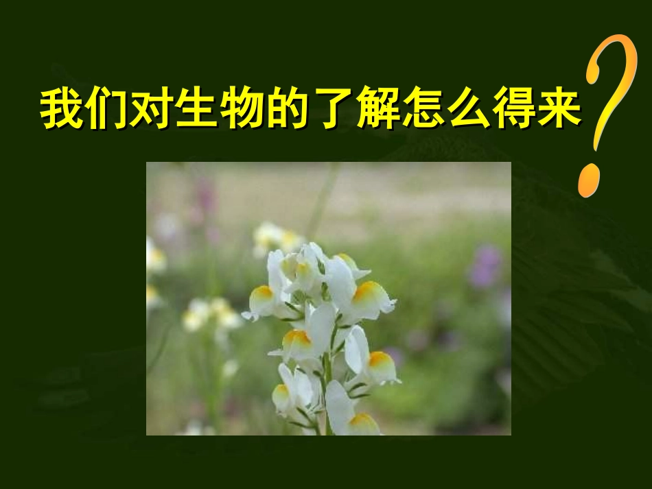 调查周边环境中的生物_第2页