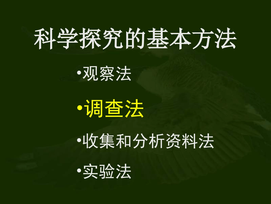 调查周边环境中的生物_第3页
