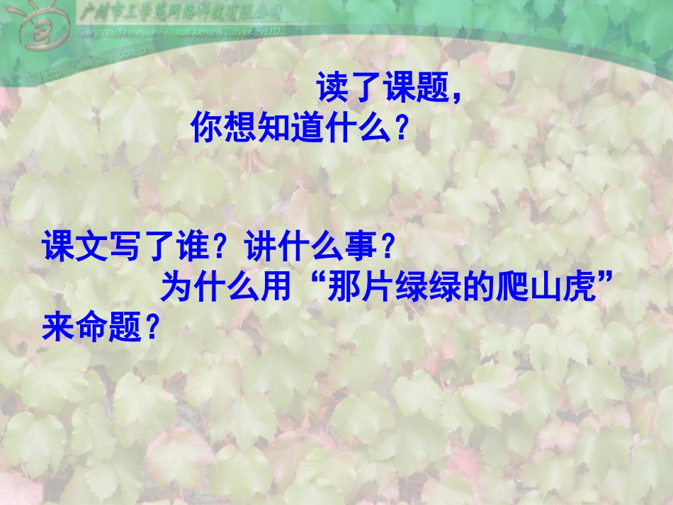 《那片绿绿的爬山虎》_第3页