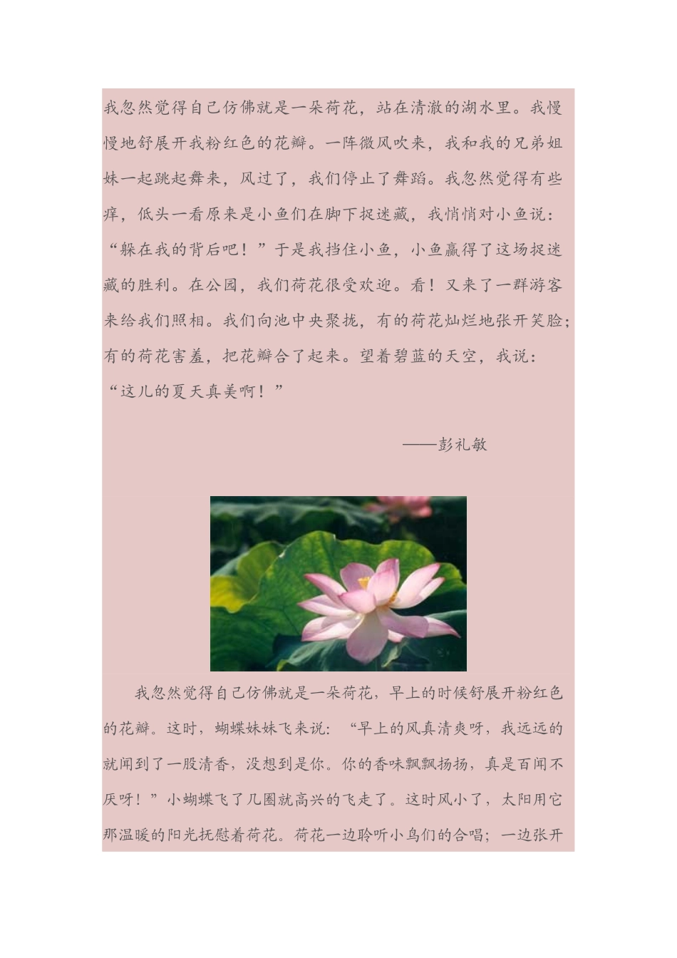 我忽然觉得自己仿佛就是一朵荷花_第1页