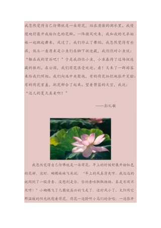 我忽然觉得自己仿佛就是一朵荷花