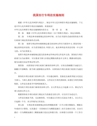 我国实行专利法实施细则 