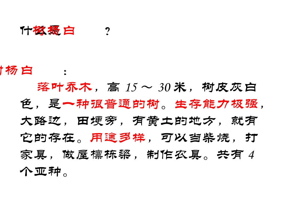 白杨_PPT_PPT课件_第2页