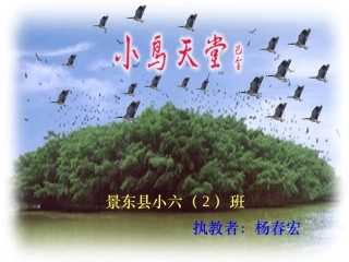 鸟的天堂（定稿）