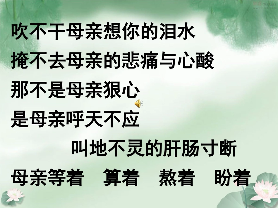 明珠回归课件_第2页