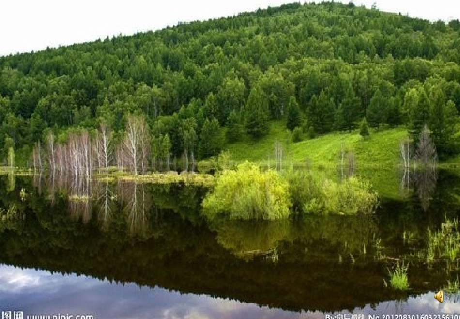 都市精灵 (3)_第1页