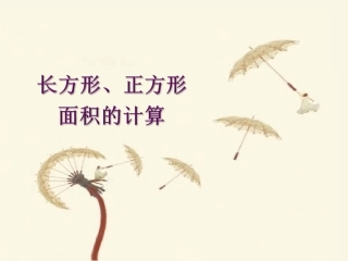 长方形正方形面积计算