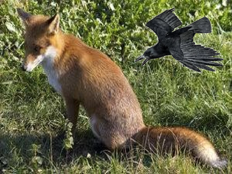 乌鸦和狐狸(2)_第2页