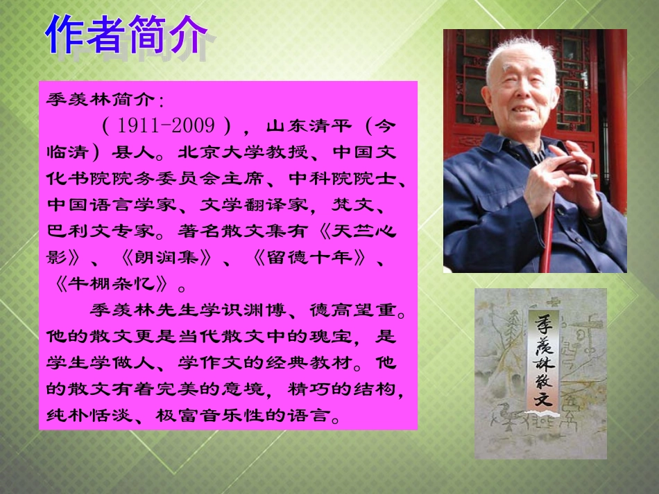 六年级语文下册-神奇的丝瓜-1课件-西师大版_第2页