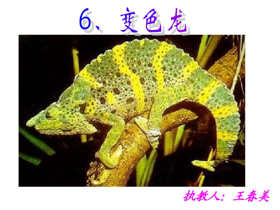变色龙 (3)_第1页
