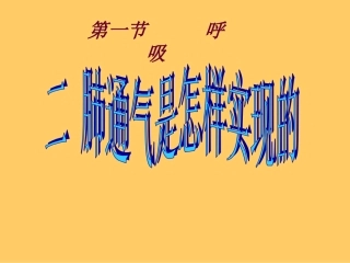 肺通气是怎样实现的