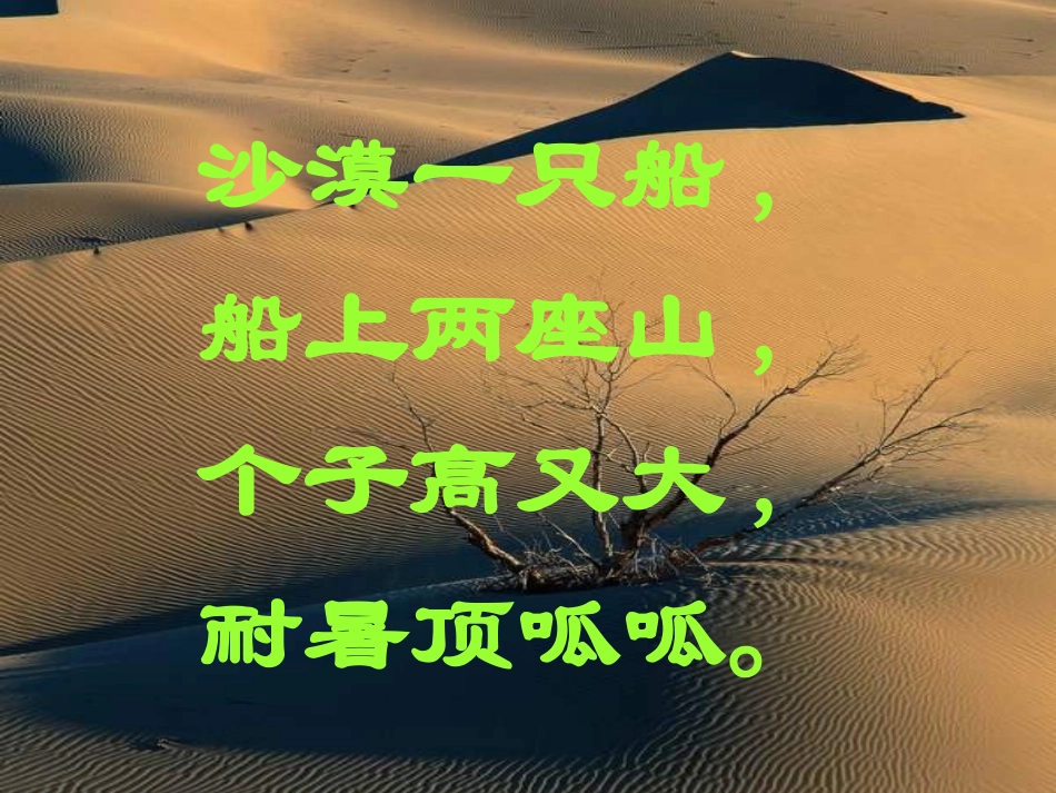 教科版三年级上册《沙漠里的“船”》PPT课件_第1页
