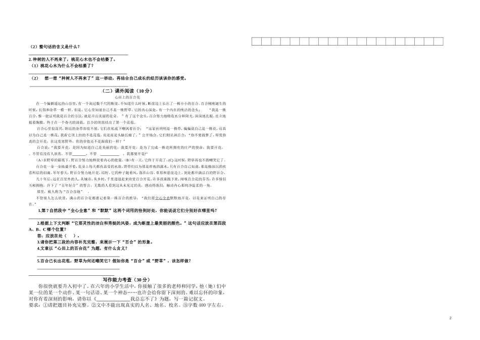 2015年(人教版)小升初语文模拟试题_第2页