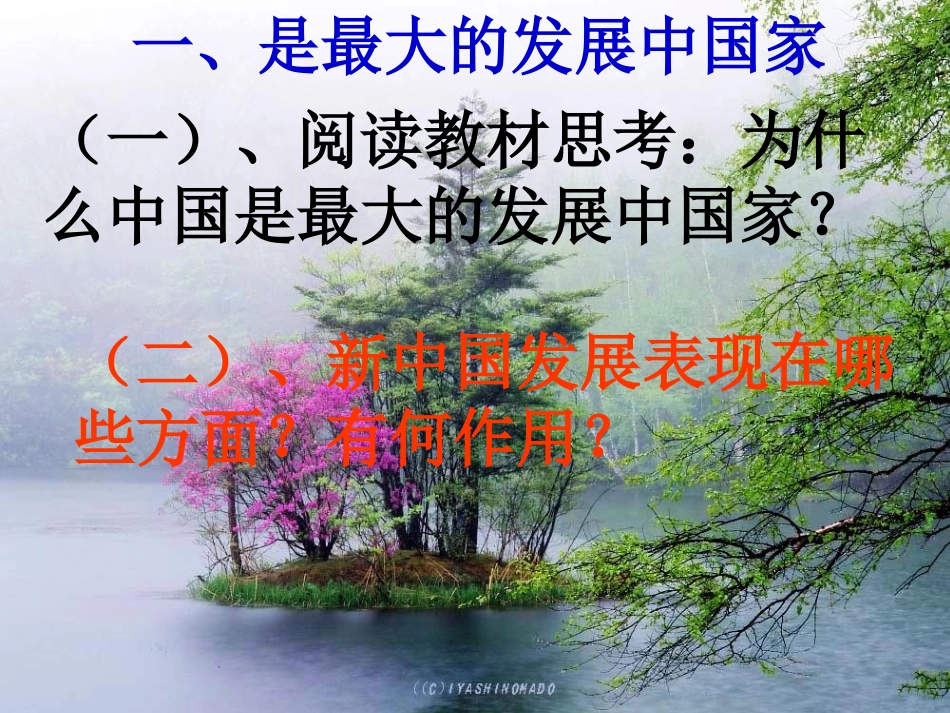 中国的大国地位_第2页