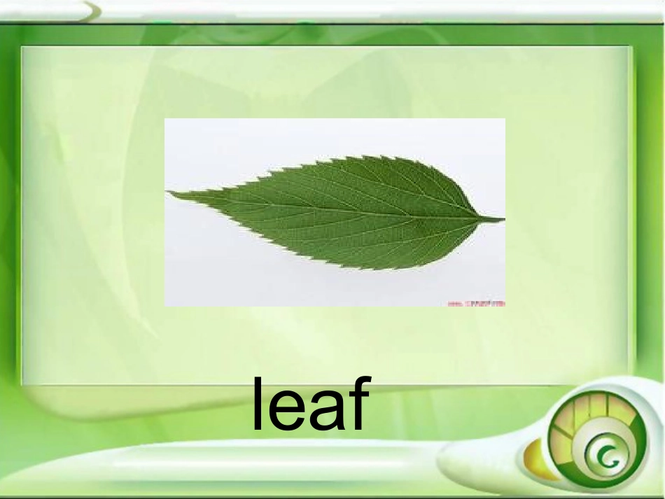 新标准英语第十册四模块二单元课件_第3页