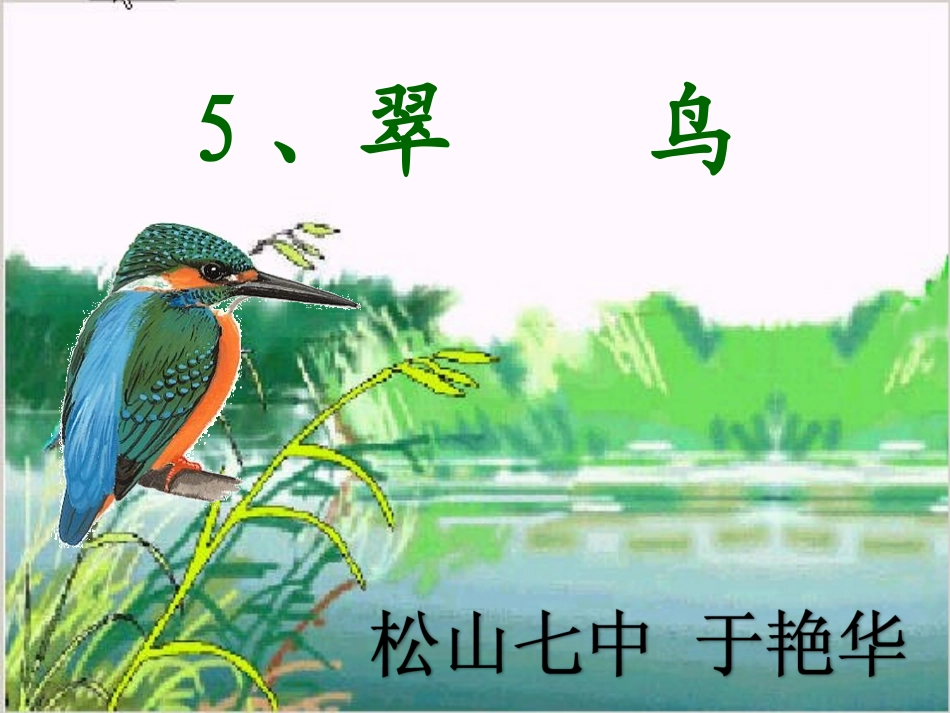 《翠鸟》优秀课件_第1页