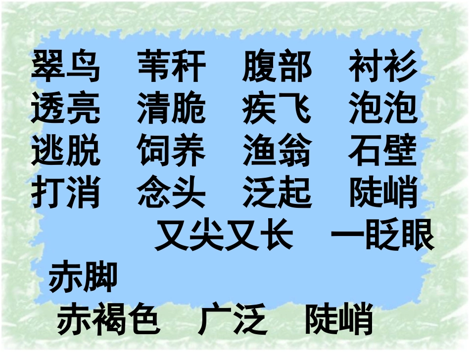 《翠鸟》优秀课件_第2页