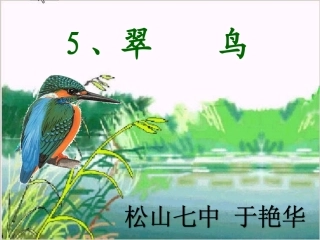 《翠鸟》优秀课件