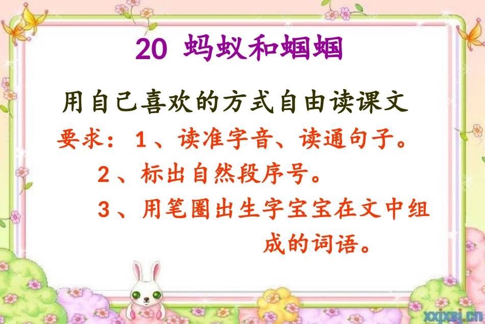 蚂蚁和蝈蝈万金花_第3页