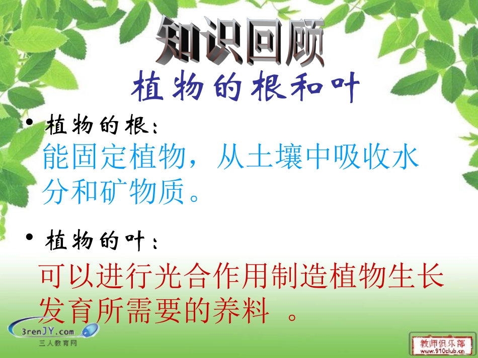 (教科版)三年级科学下册《茎越长越高》教学课件_第1页