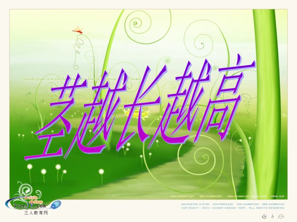 (教科版)三年级科学下册《茎越长越高》教学课件_第3页