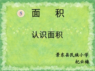 认识面积例例