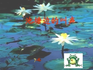 池塘边的叫声 (3)