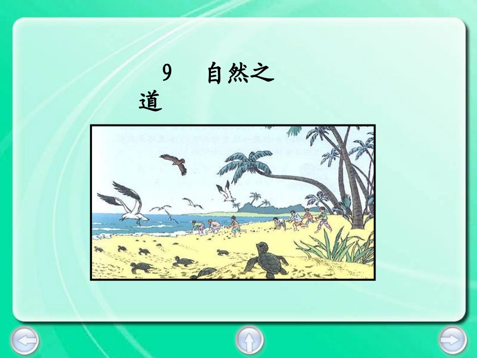 自然之道 (3)_第1页