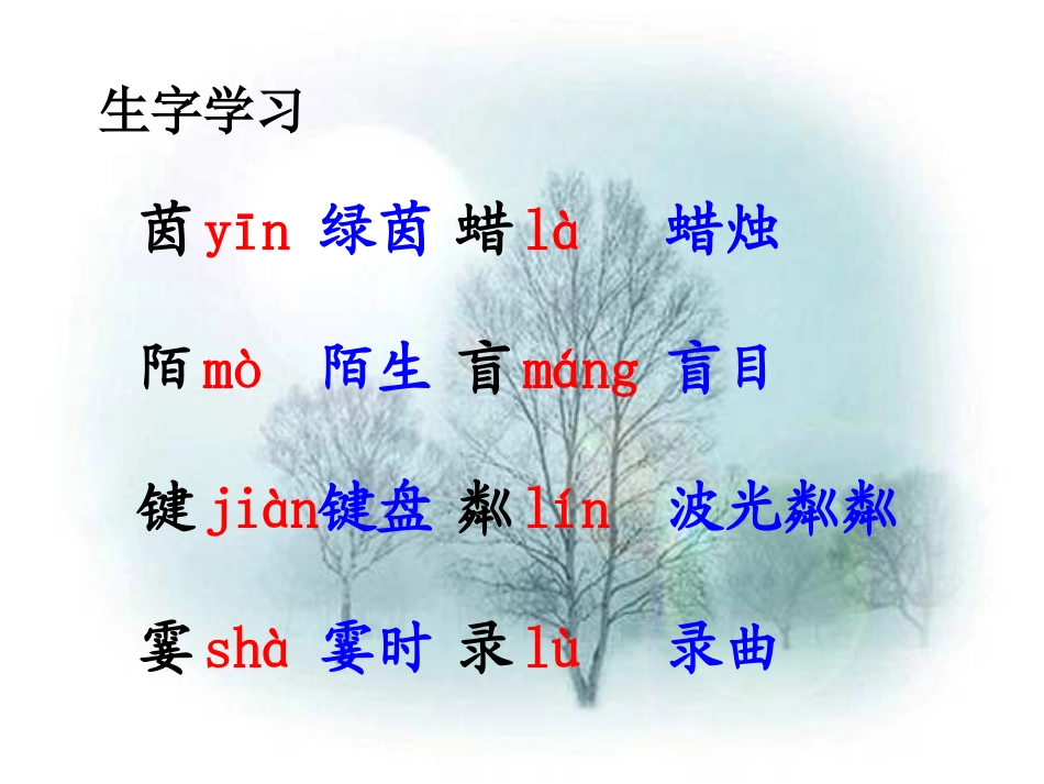 《月光曲》教学课件1_第2页