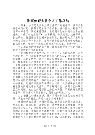 刑事侦查大队个人工作总结 