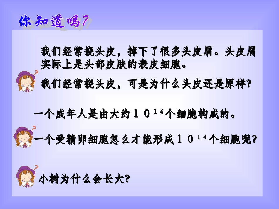 细胞增殖---动物细胞的有丝分裂_第2页