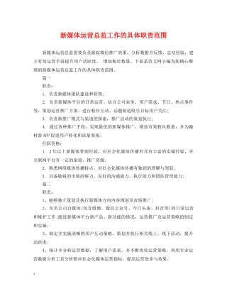 新媒体运营总监工作的具体职责范围 