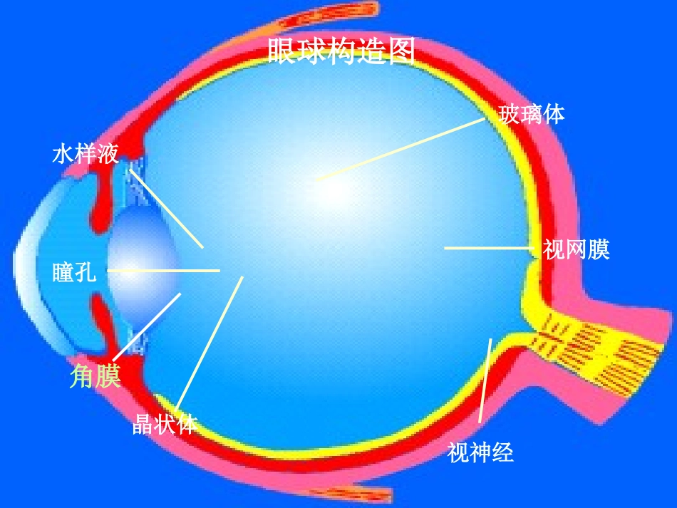我有一双明亮的眼睛_第3页