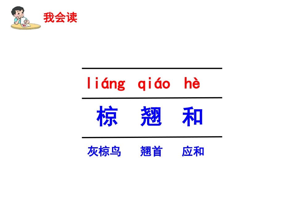 灰椋鸟第课时_第2页