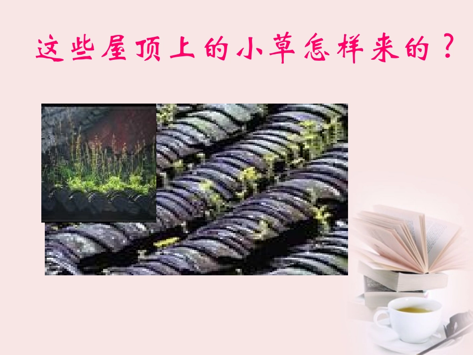 四年级科学下册_把种子散播到远处_2课件_教科版_第2页