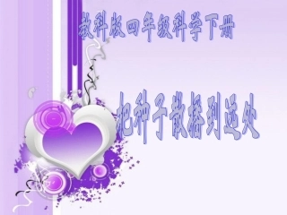 四年级科学下册_把种子散播到远处_2课件_教科版