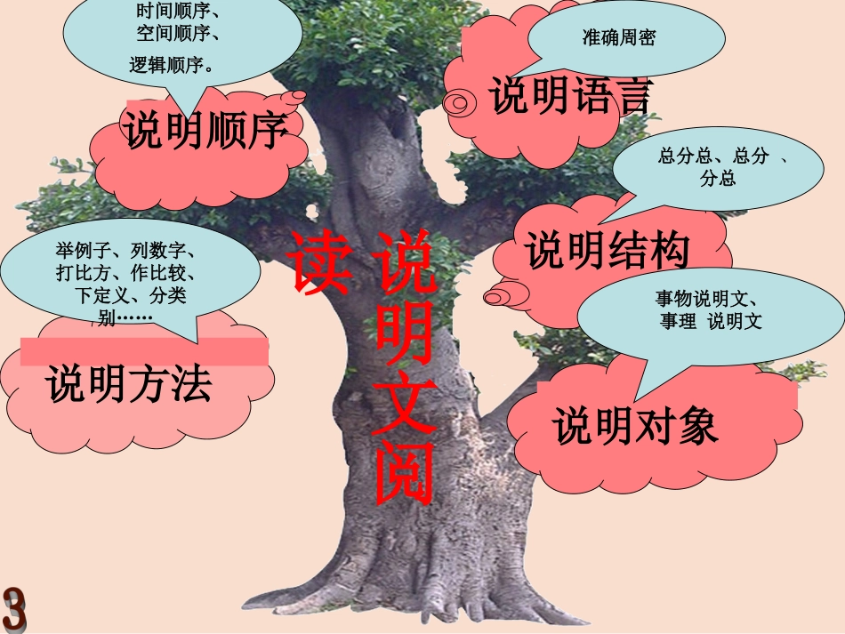 说明文阅读指导_第3页