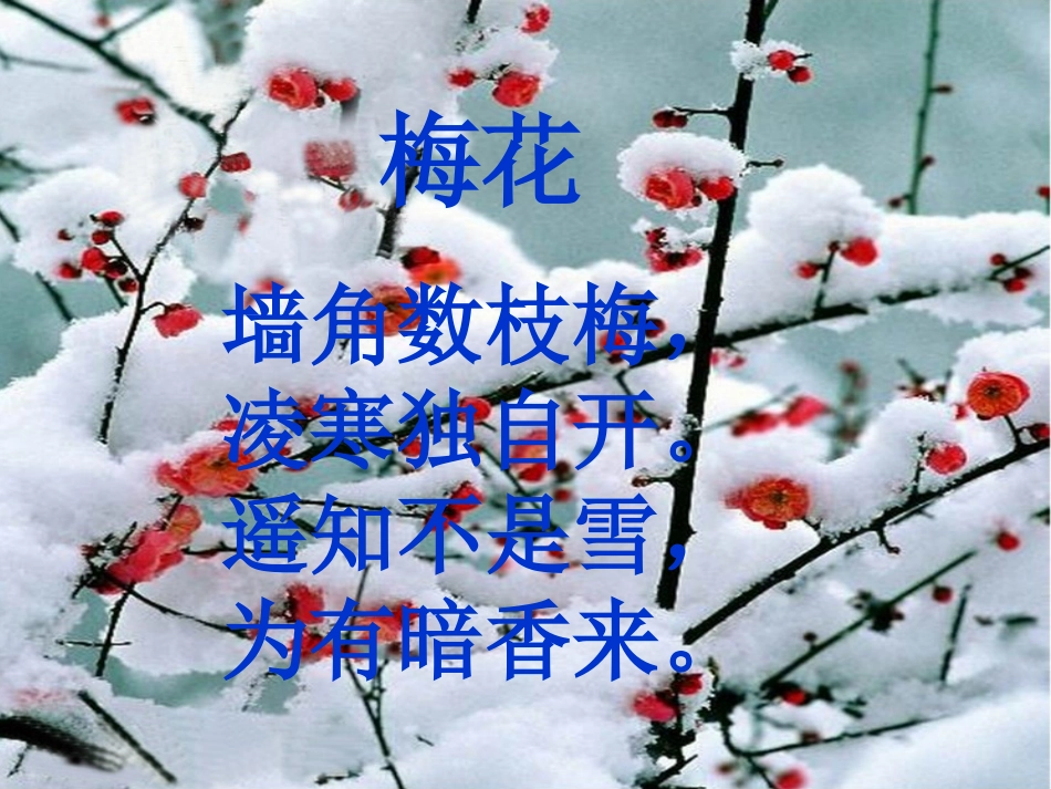 江雪课件定稿_第2页