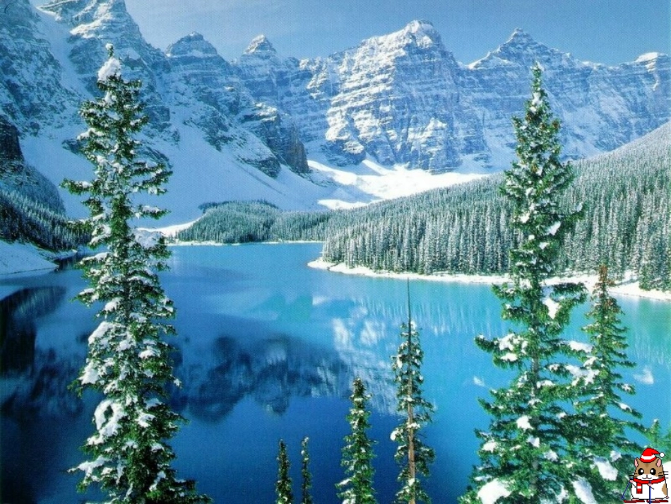 公开课《雪地里的小画家》_第2页