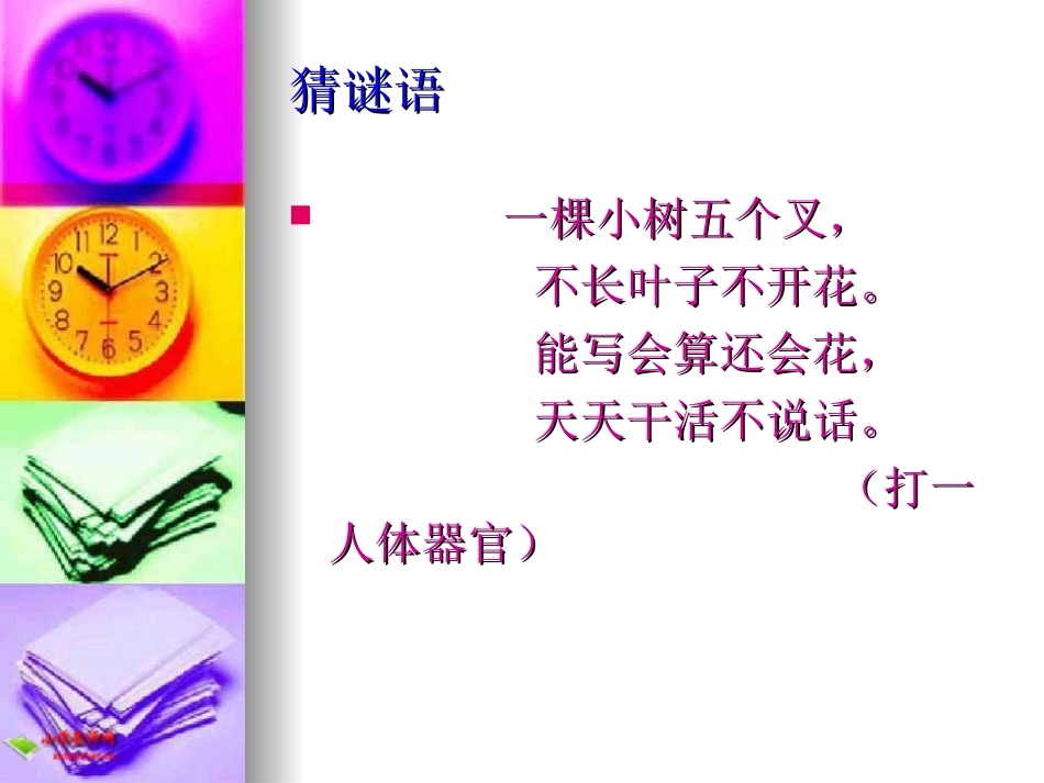 人教版小学四年级数学植树问题课件_第2页