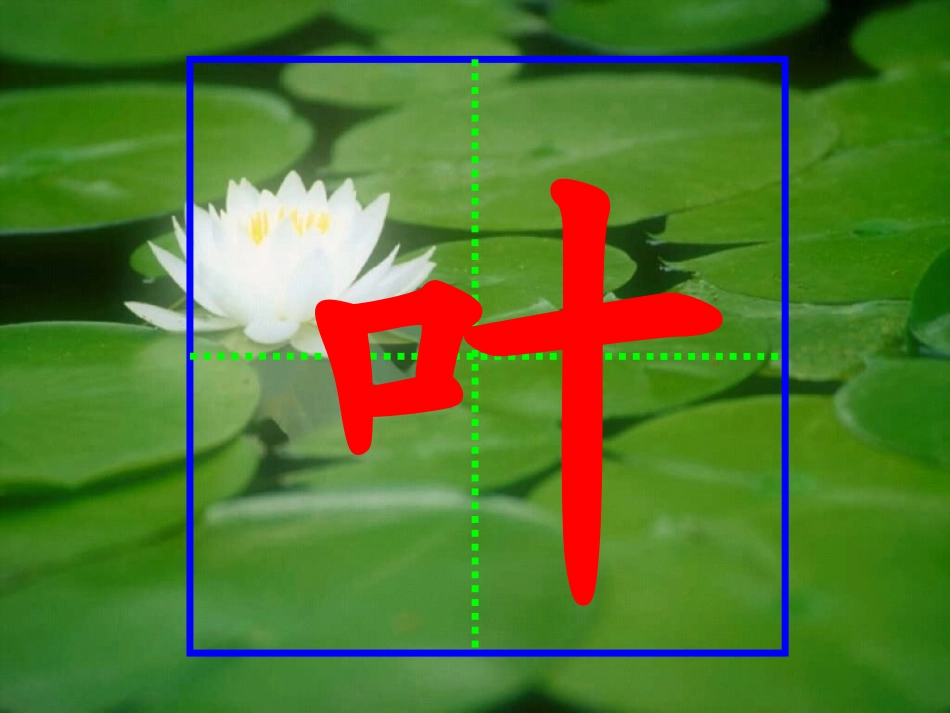 《荷叶圆圆》_第1页