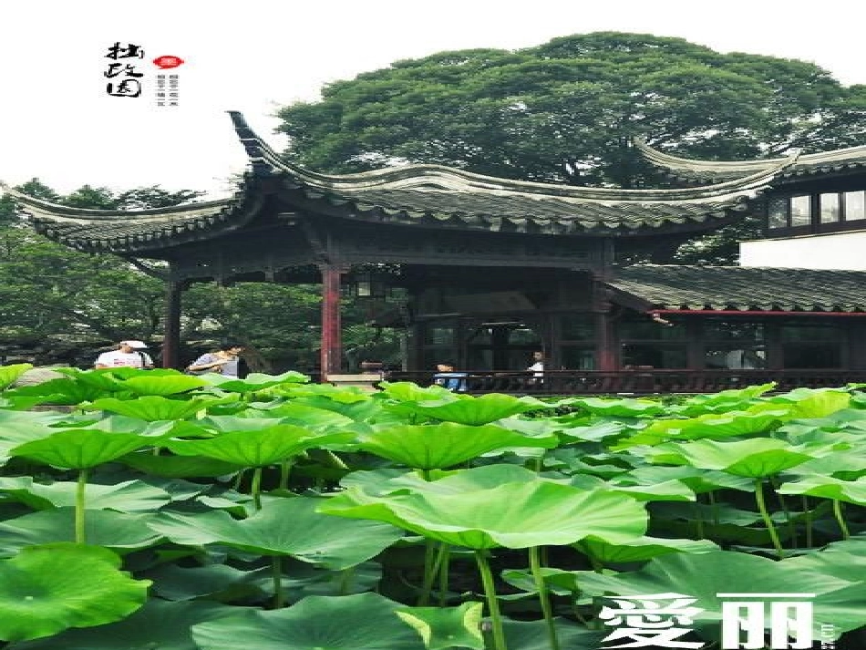 《苏州园林》 (2)_第1页